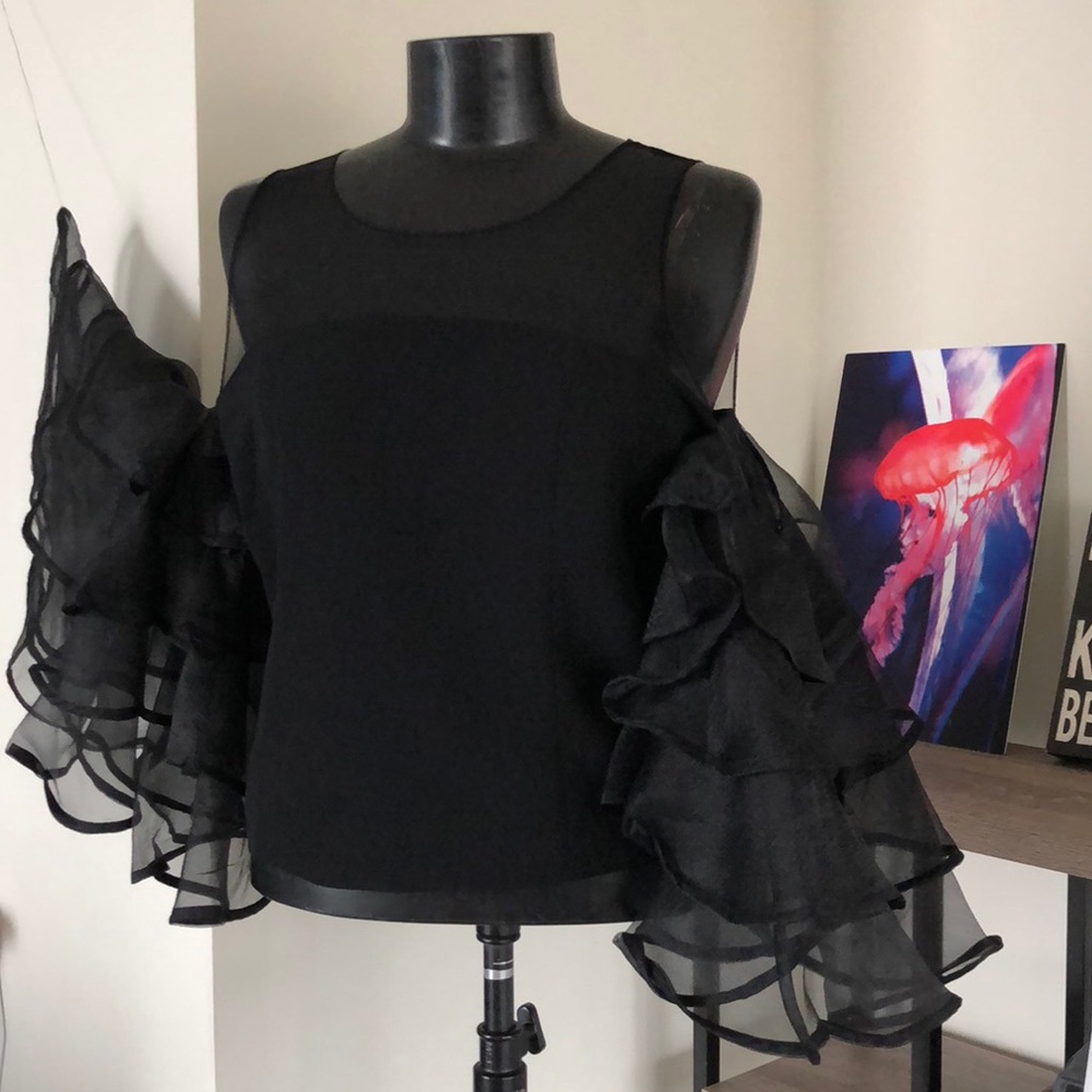 Sheer Ruffled Sleeve Top - Picture 7 of 7